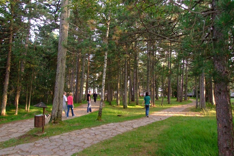  Letovanje  