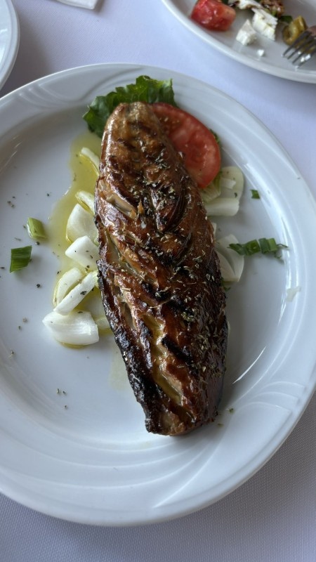  Letovanje Grcka Platamonas-Beach