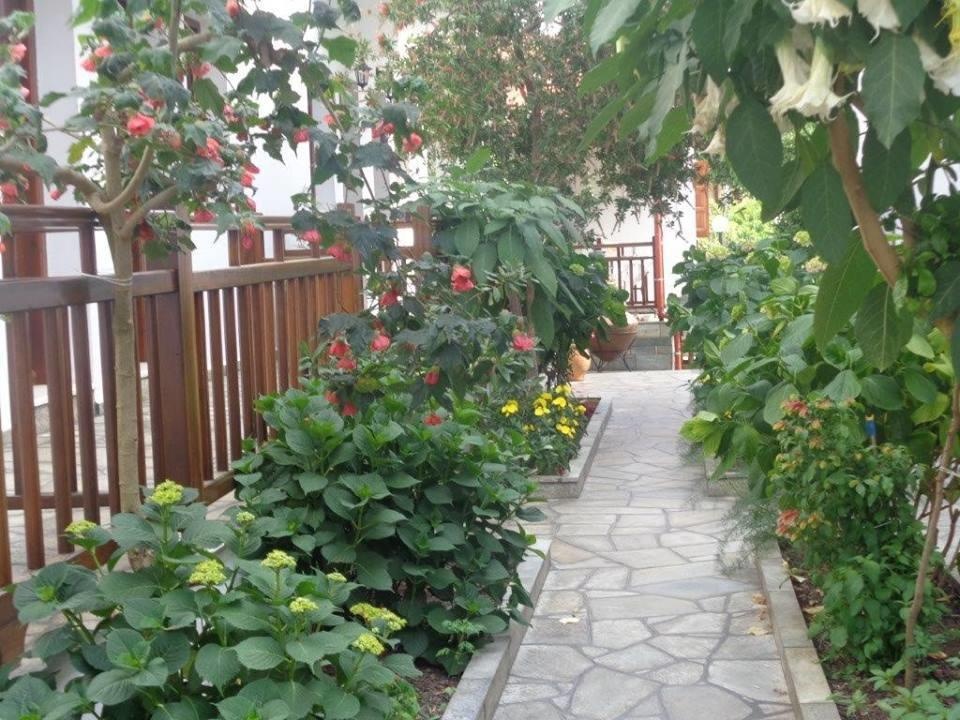  Letovanje Grcka Platanias