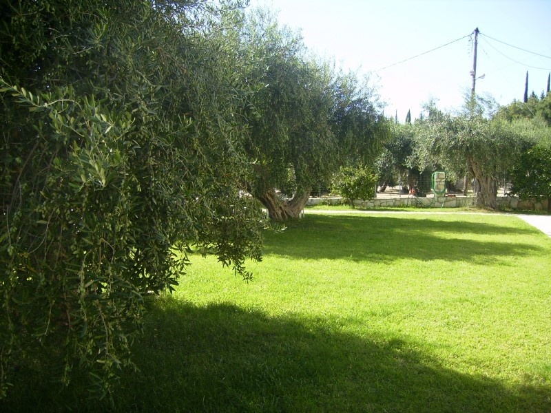  Letovanje Grcka Sivota